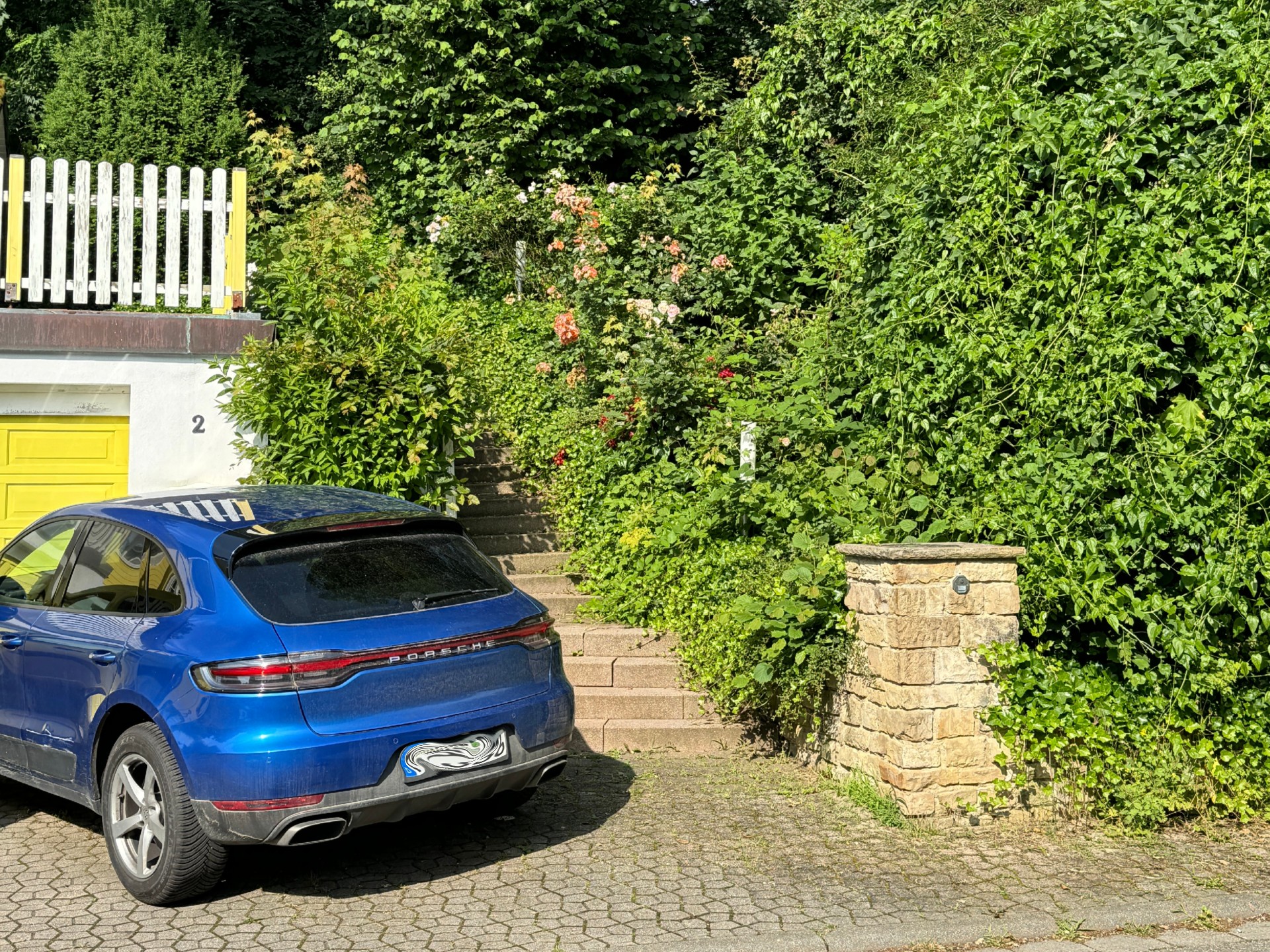 Treppen- und Gartenbereich vor der Pflege